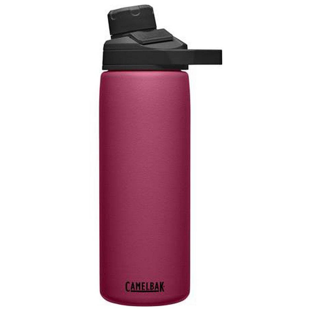Chute Mag Vacuum Insulated Stainless Steel Water Bottle - 20oz, Plum
