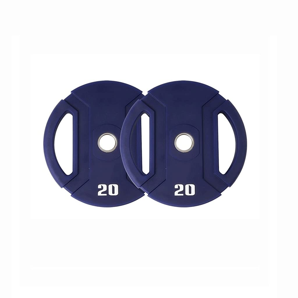Color Weight Plate Set with Hand Grip Handles