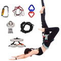 Professional Suspension Trainer Fitness Set