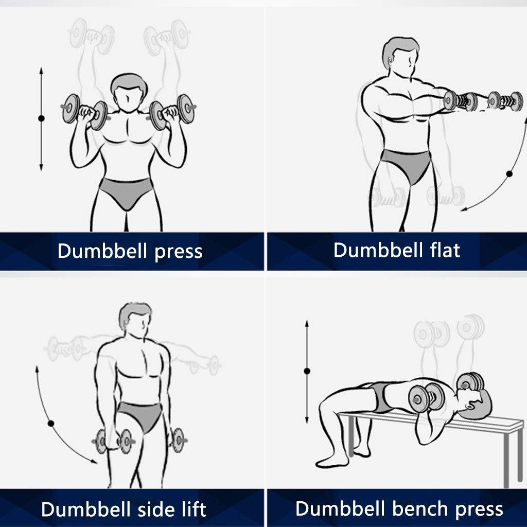 12-Sided Coated Dumbbell Set for Home Gym