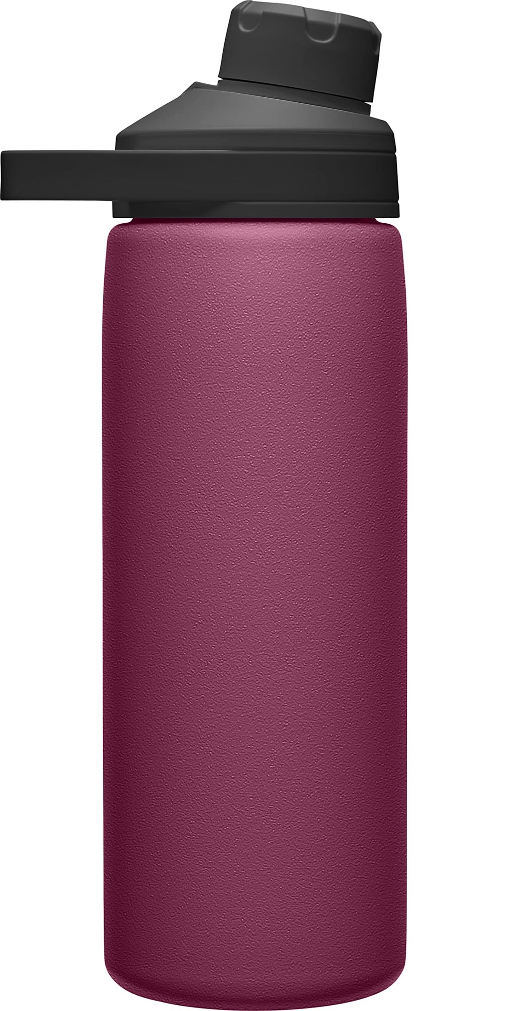 Chute Mag Vacuum Insulated Stainless Steel Water Bottle - 20oz, Plum