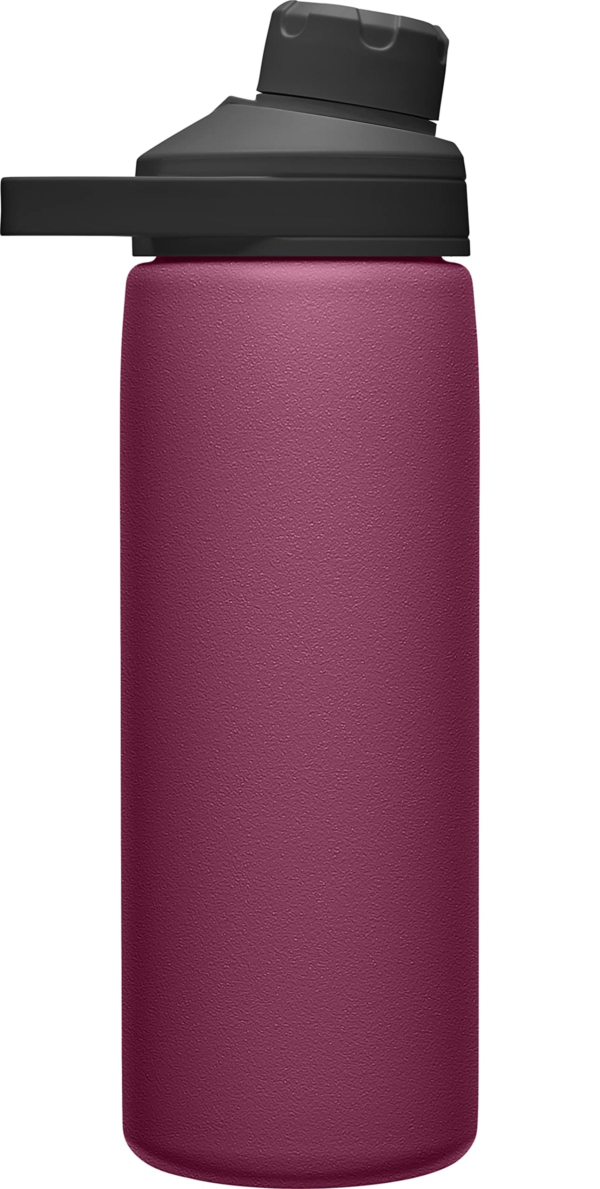 Chute Mag Vacuum Insulated Stainless Steel Water Bottle - 20oz, Plum