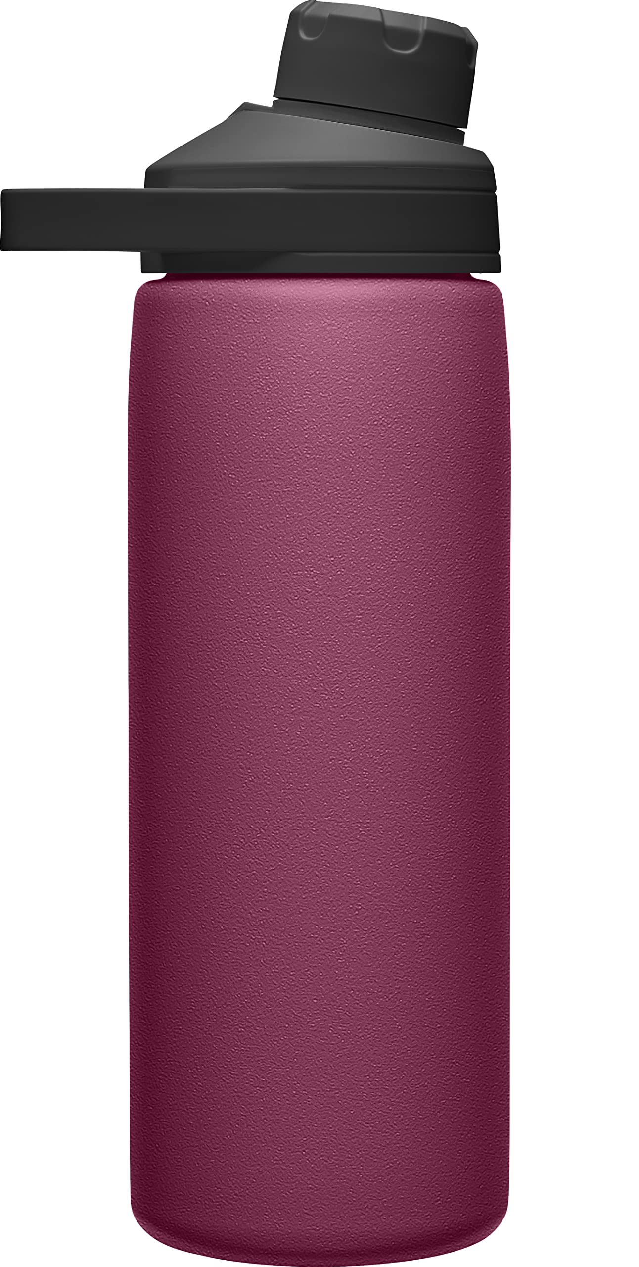 Chute Mag Vacuum Insulated Stainless Steel Water Bottle - 20oz, Plum